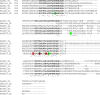 Figure 5—figure supplement 3.