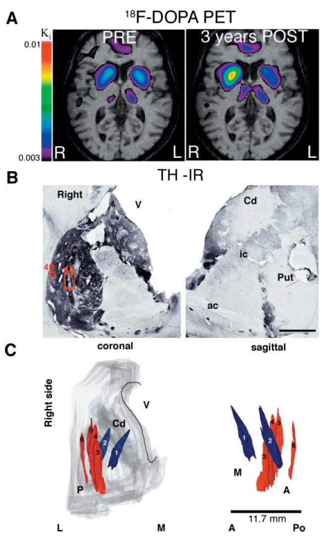 Fig. 3