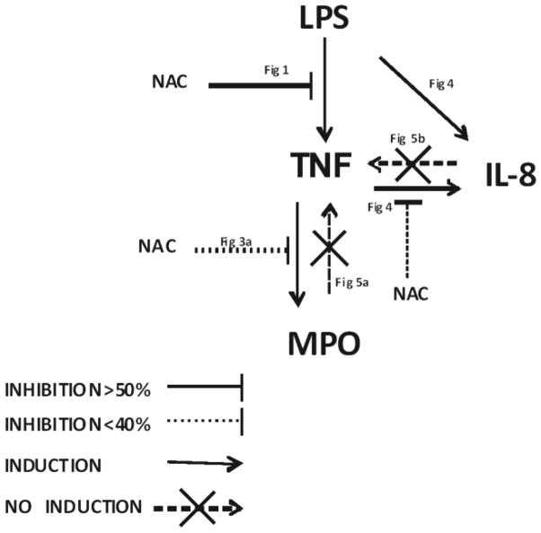 Fig. 8