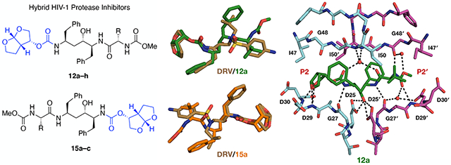 graphic file with name nihms-1641040-f0001.jpg