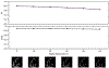 Extended Data Figure 6.