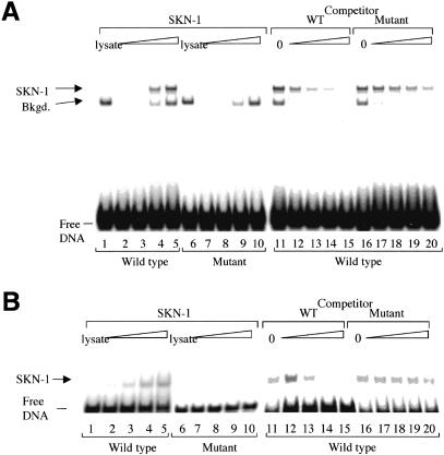 Figure 4.