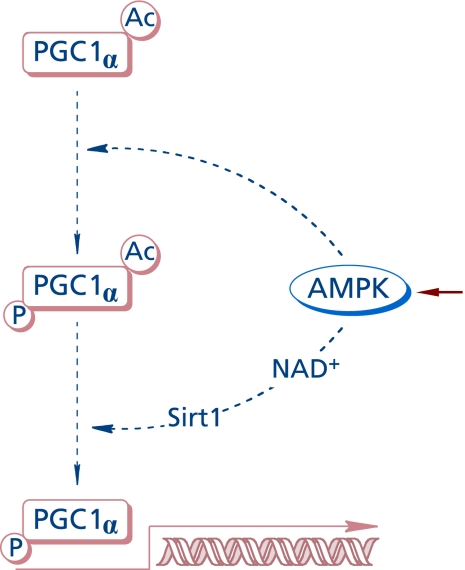 Fig. 6