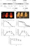 Figure 1.