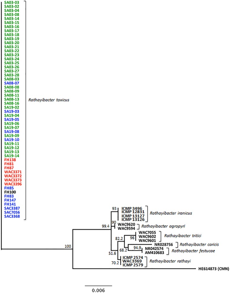 Fig 2