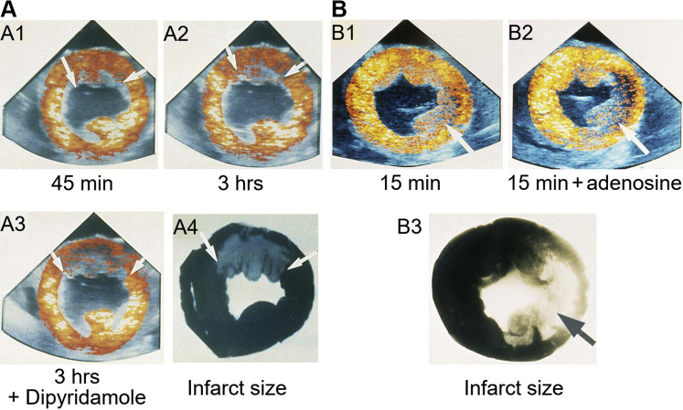 Figure 2