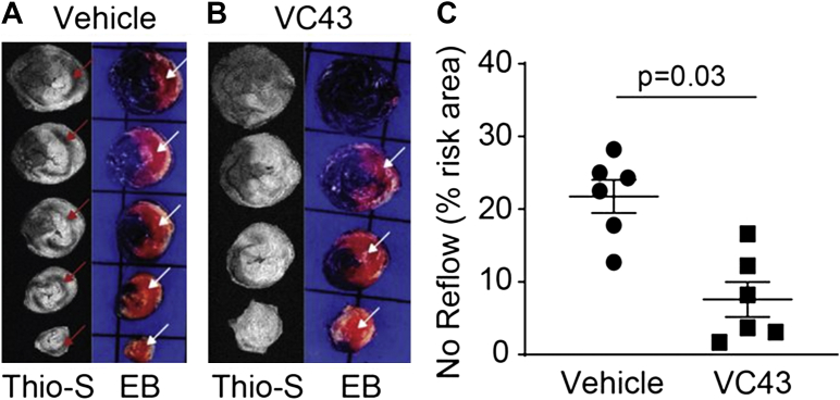 Figure 6