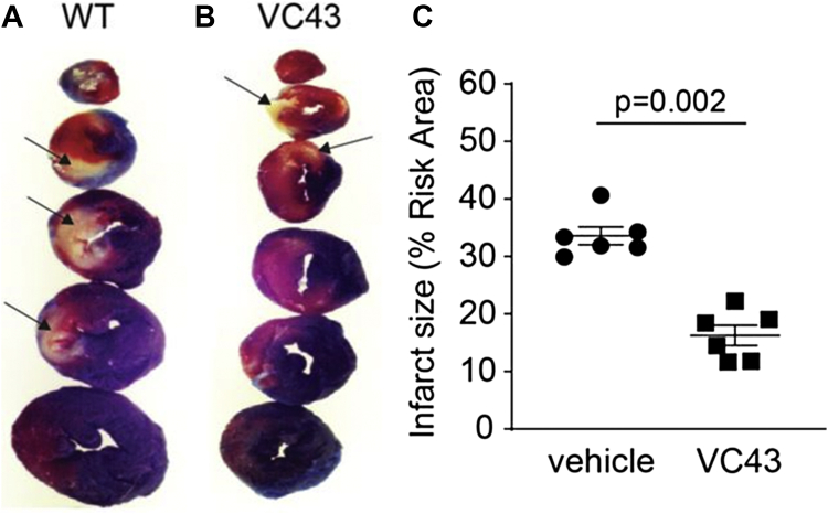 Figure 7