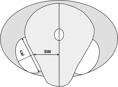 Fig. 1