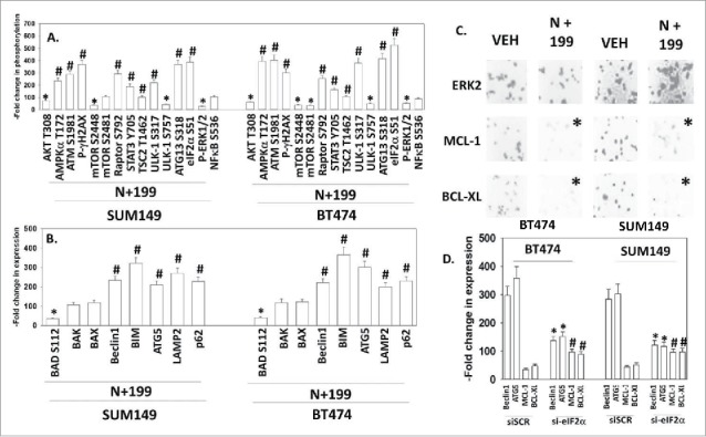 The irreversible ERBB1/2/4 inhibitor neratinib interacts with the BCL-2 ...