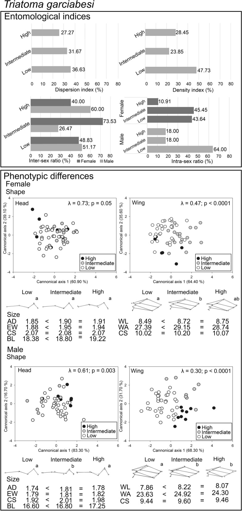Fig. 3