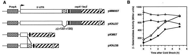 FIG. 5