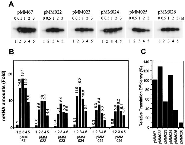 FIG. 3