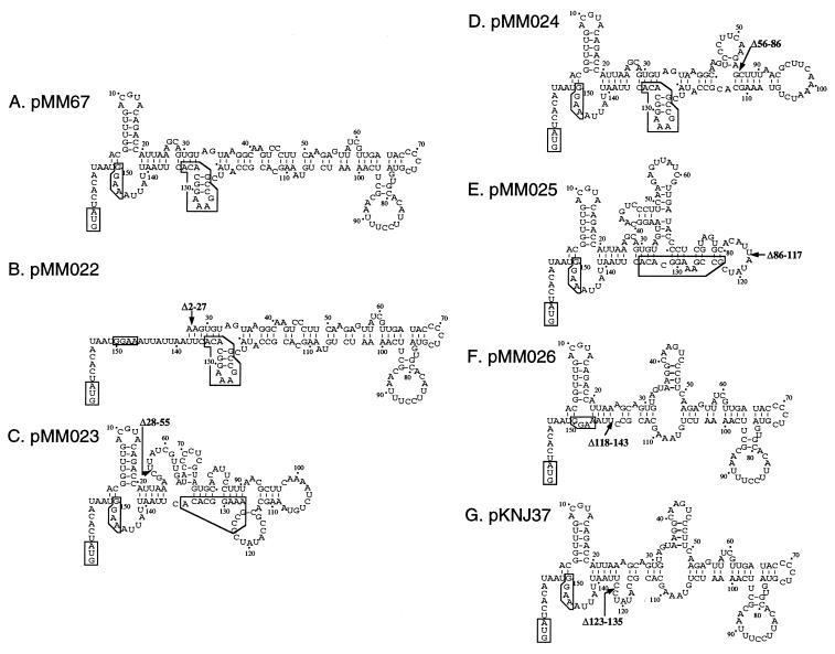 FIG. 6