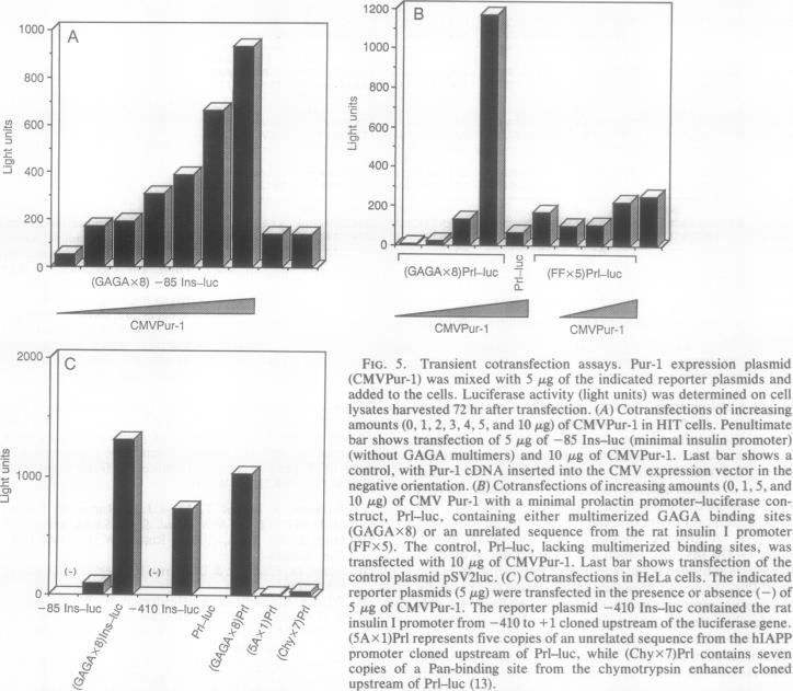 graphic file with name pnas01097-0404-a.jpg