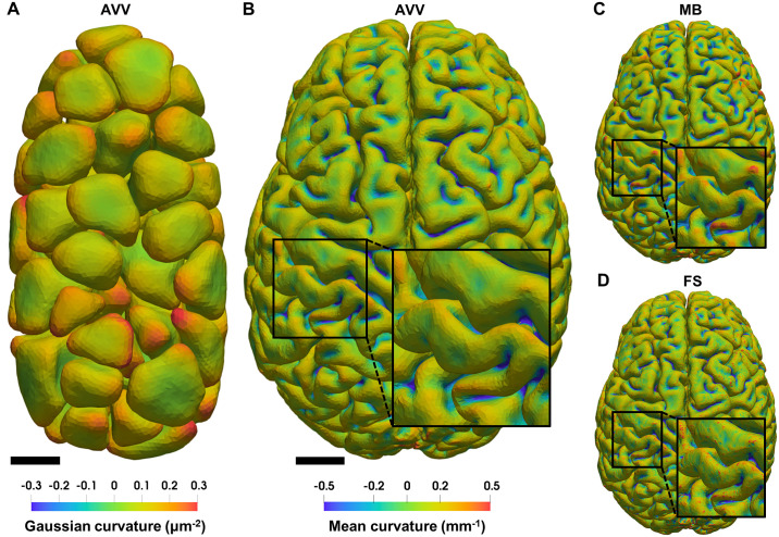 Fig 13