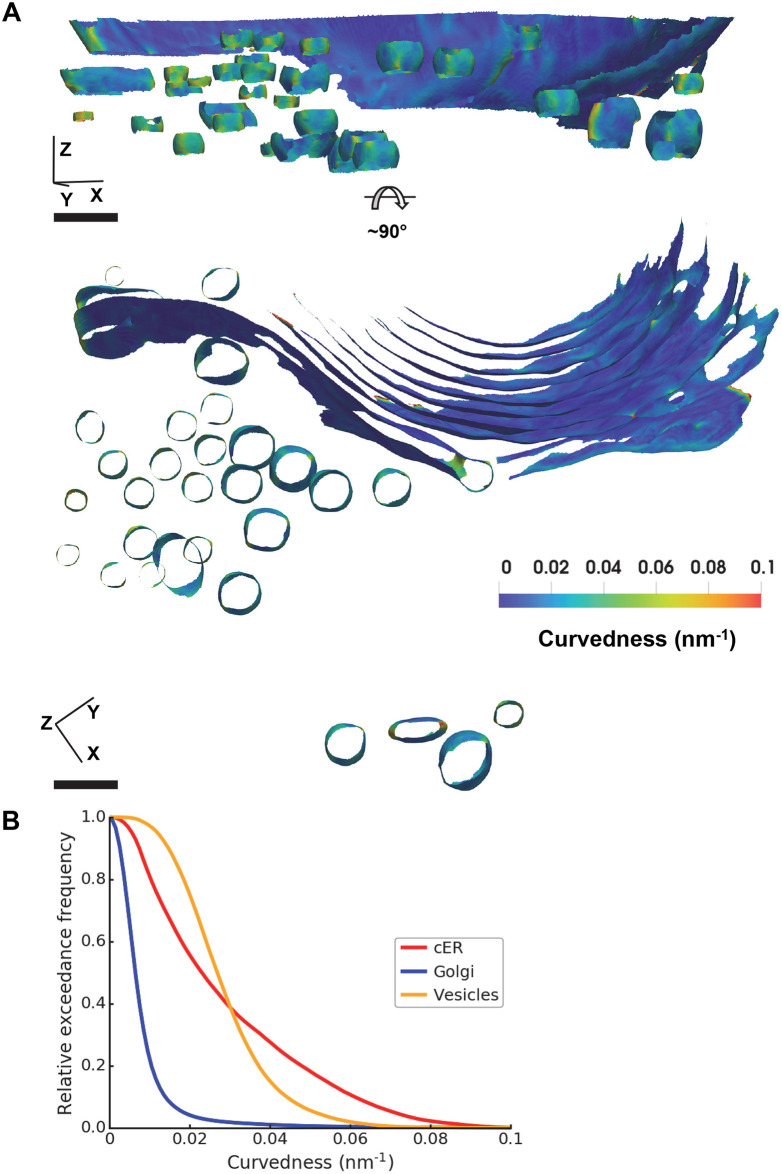 Fig 12