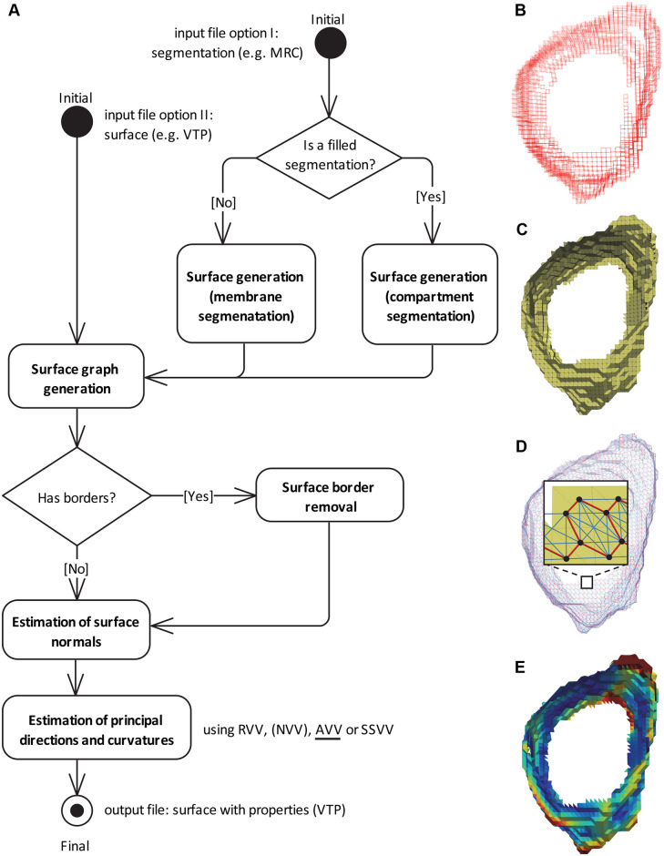 Fig 1