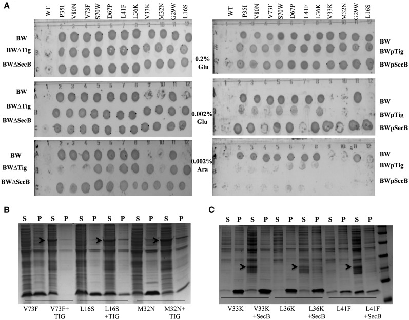 Fig. 4