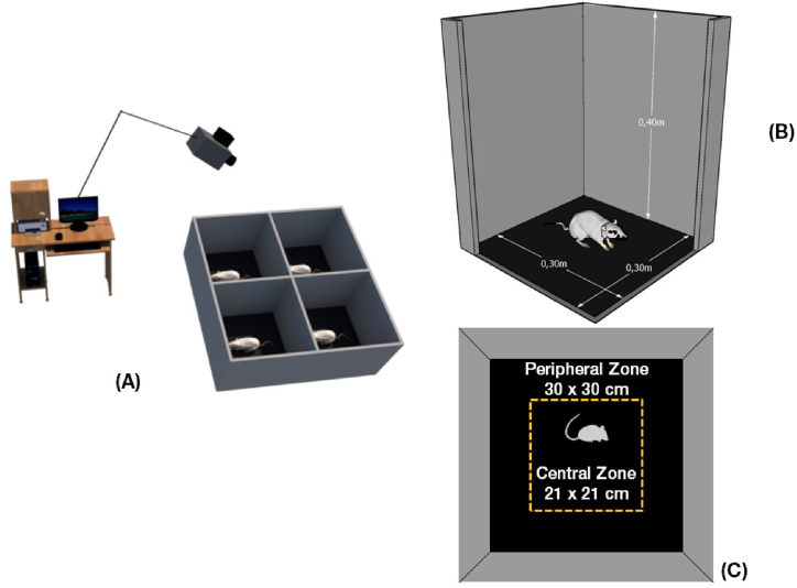 Fig. 3