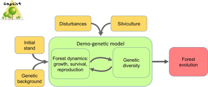 FIGURE 1