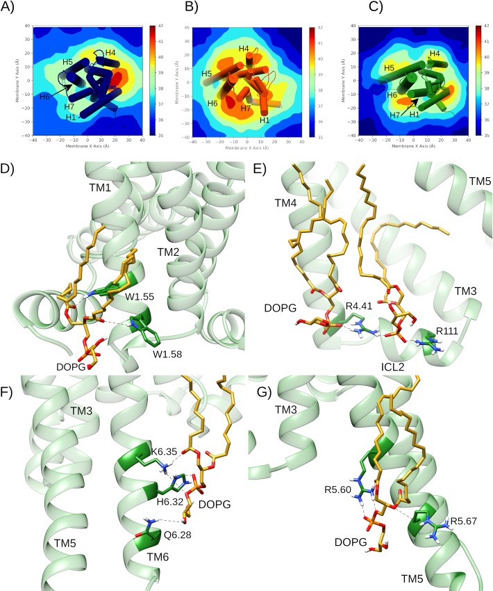 Fig 6