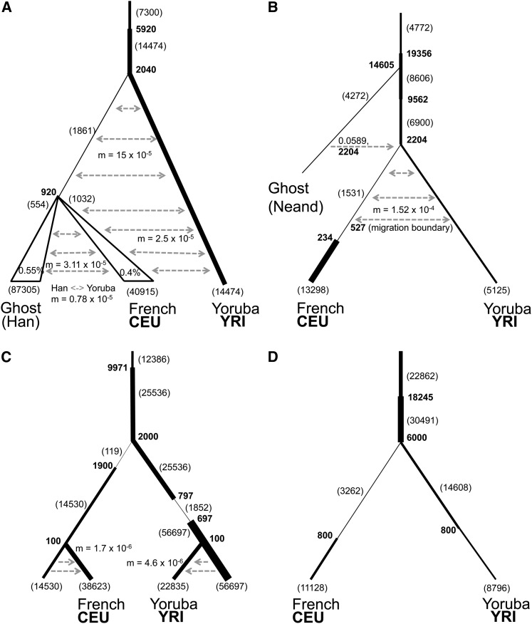 Figure 12