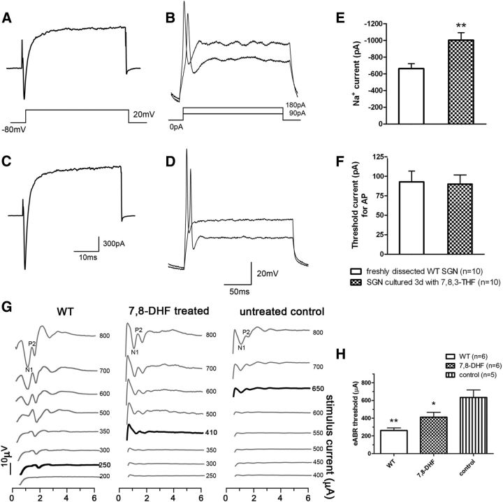 Figure 5.