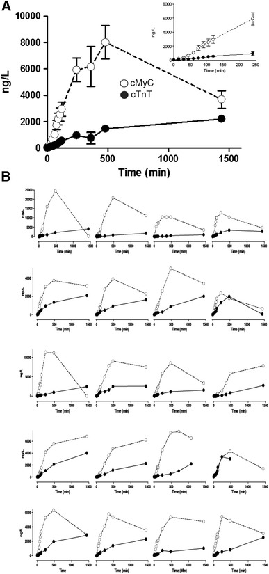 Fig. 4