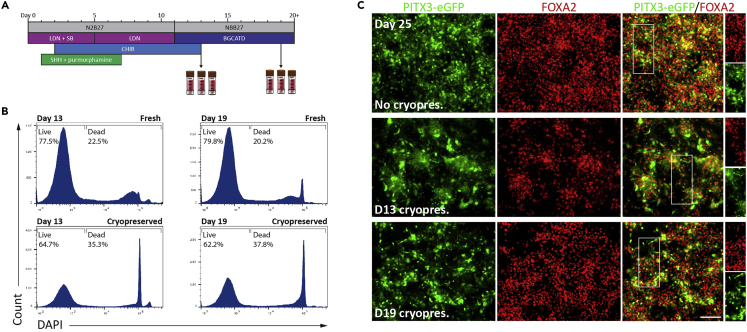 Figure 3