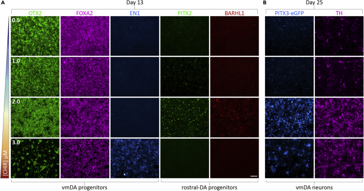 Figure 4