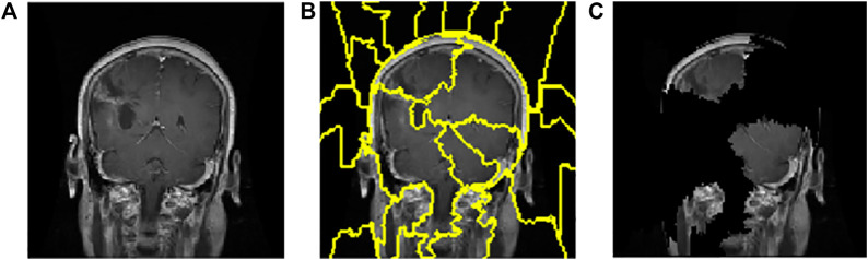 FIGURE 7