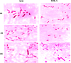 Figure 29