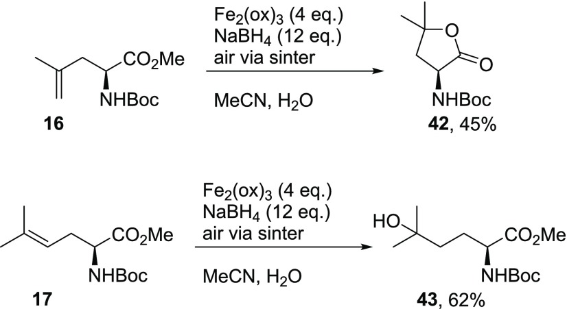 Scheme 9