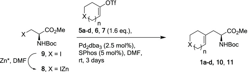 Scheme 2