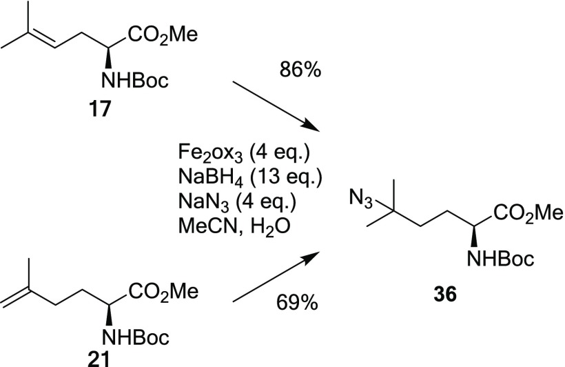 Scheme 7