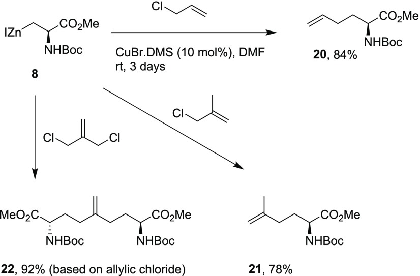 Scheme 4