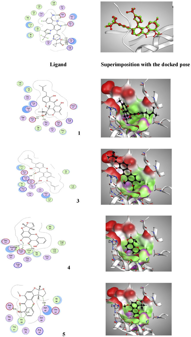 FIGURE 5