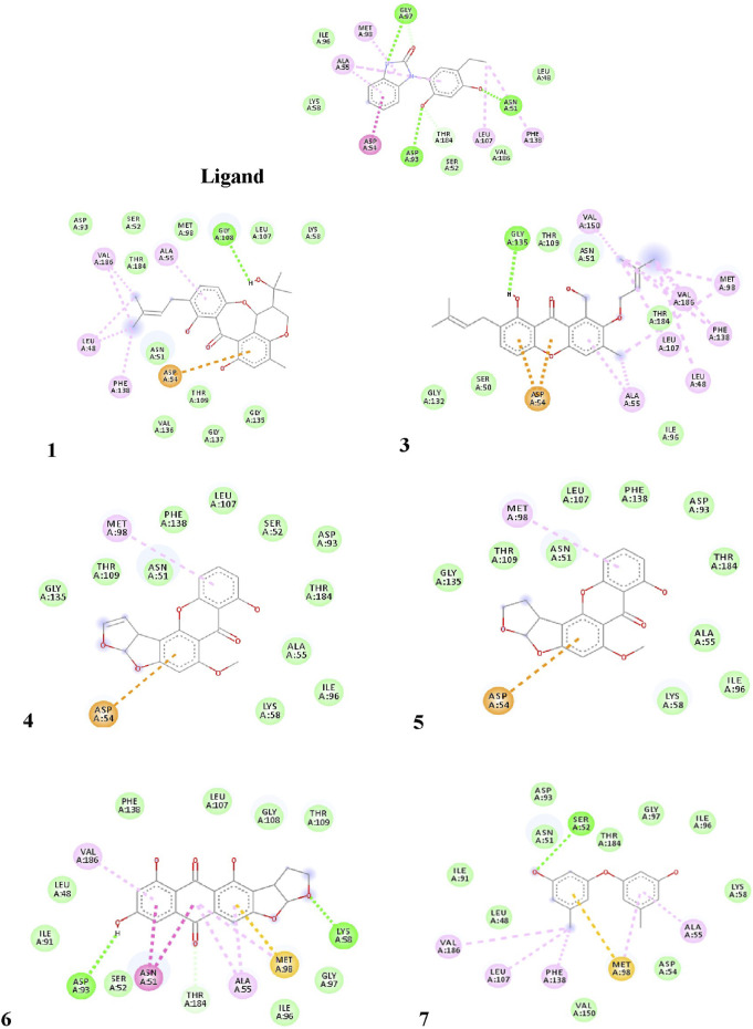 FIGURE 4