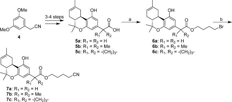 Scheme 1