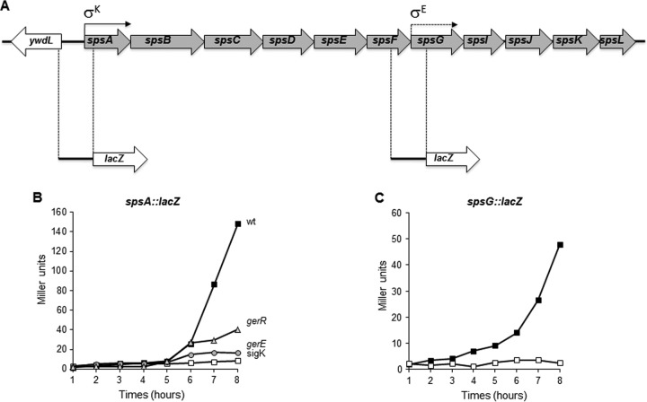 FIG 1