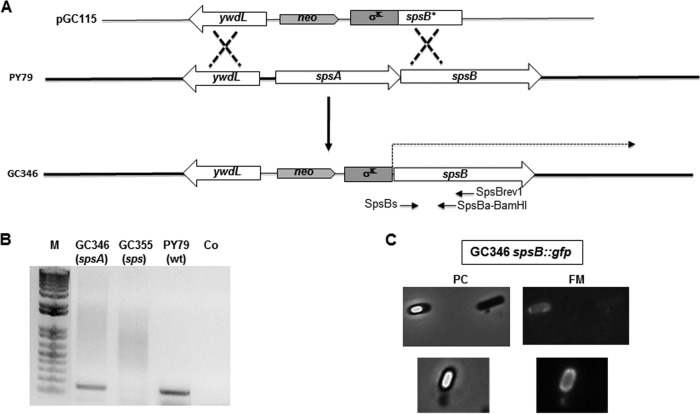 FIG 2