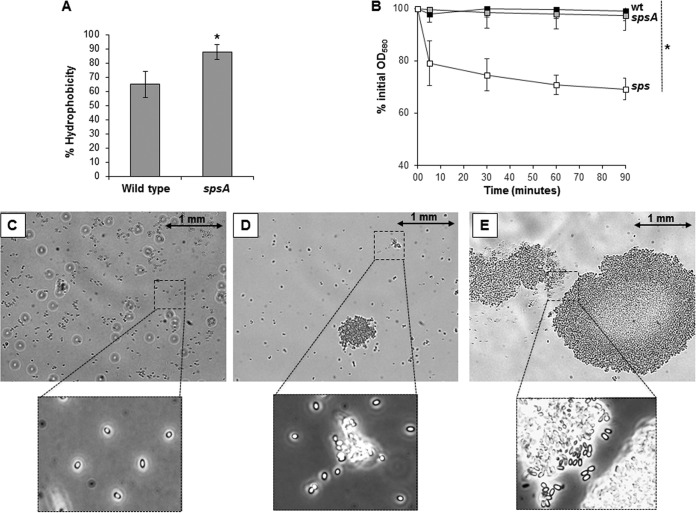 FIG 8