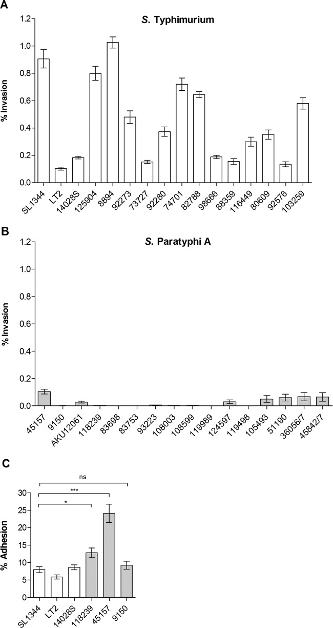 FIG 2