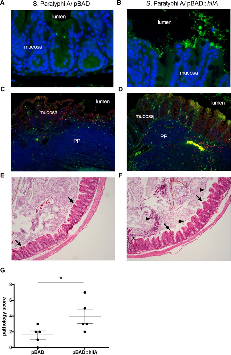 FIG 8