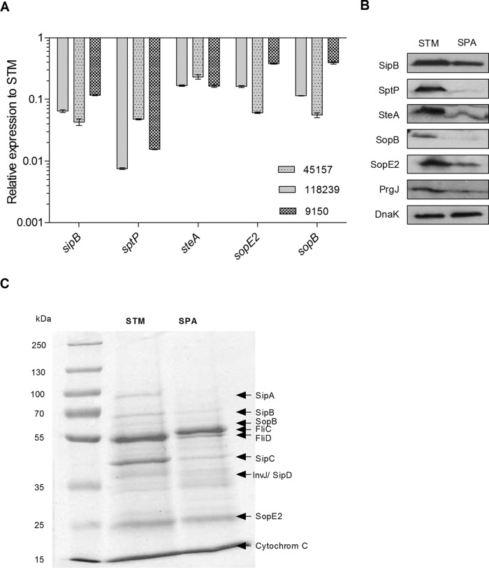 FIG 4