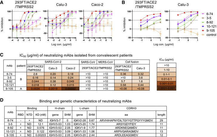 Figure 2