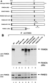 FIG. 5