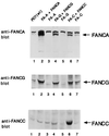 FIG. 7