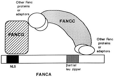 FIG. 9